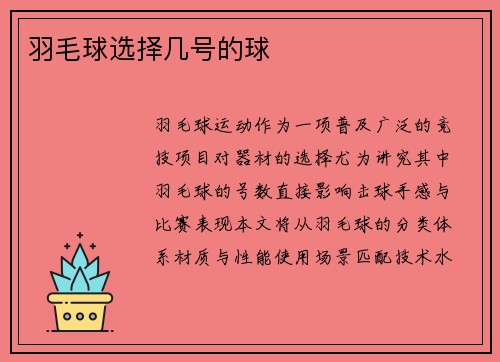 羽毛球选择几号的球